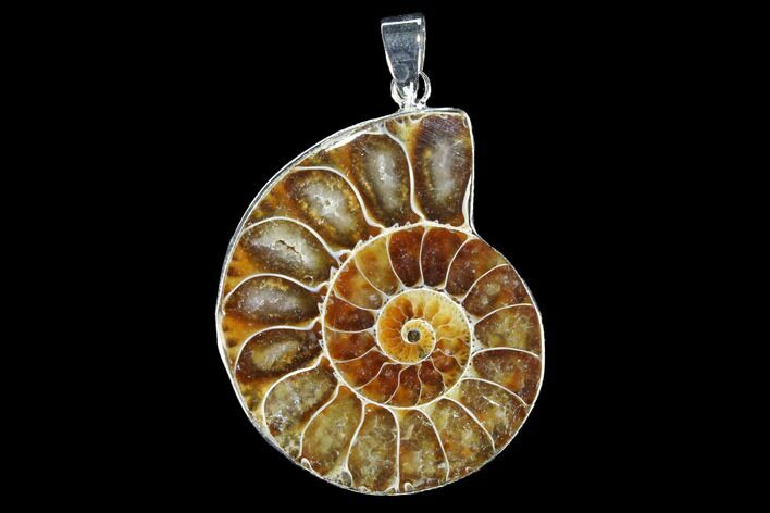 Fossil Ammonite Pendant - Million Years Old #112466